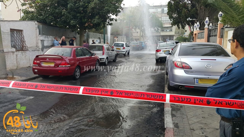 fire new yaffaj (3).jpg